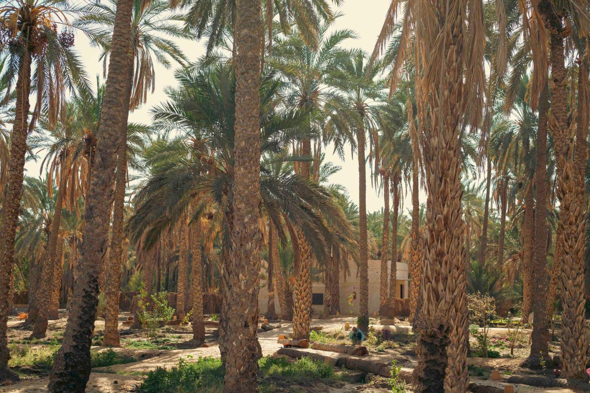 Villa Taouzert Tozeur Luaran gambar