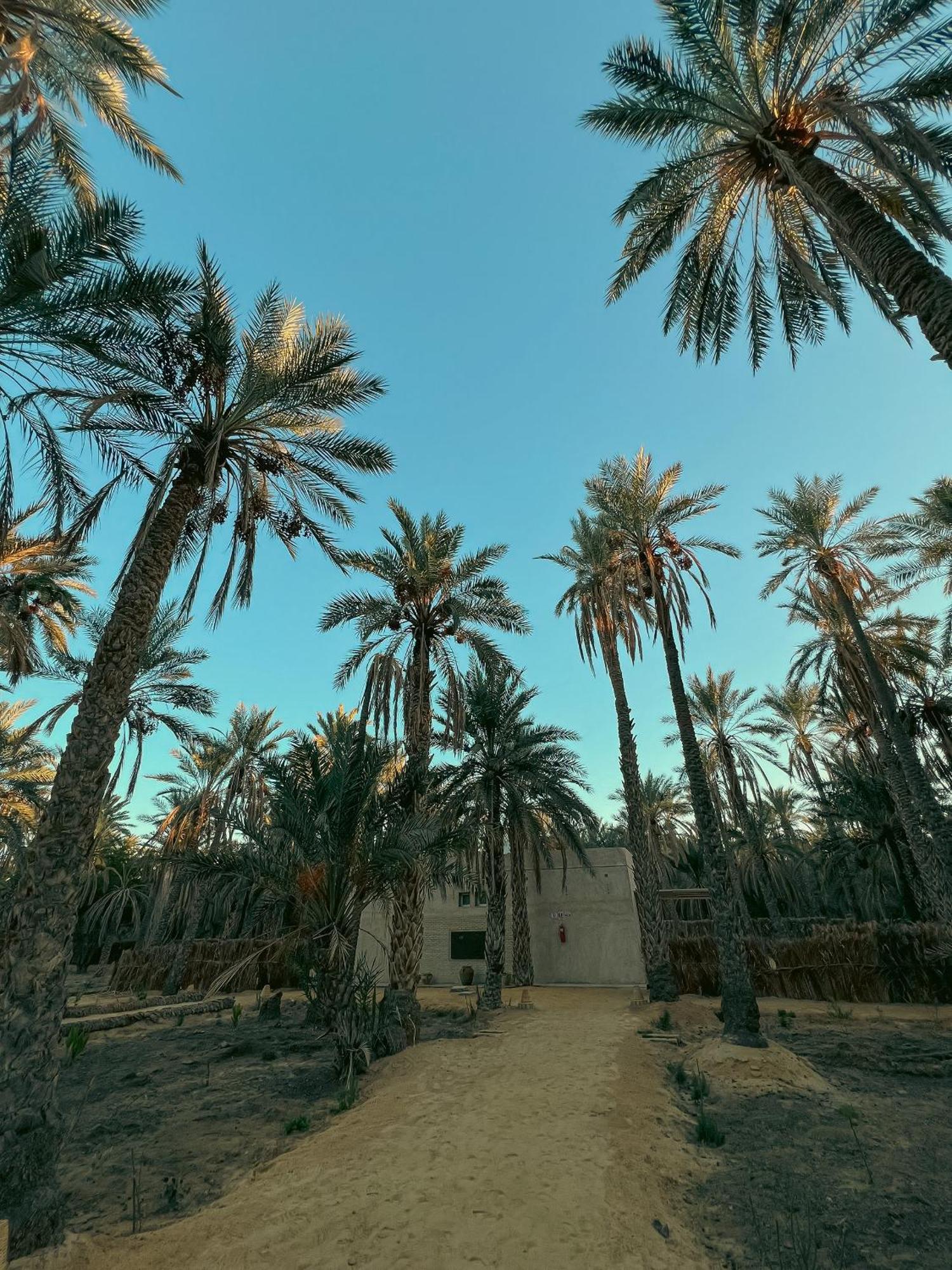 Villa Taouzert Tozeur Luaran gambar